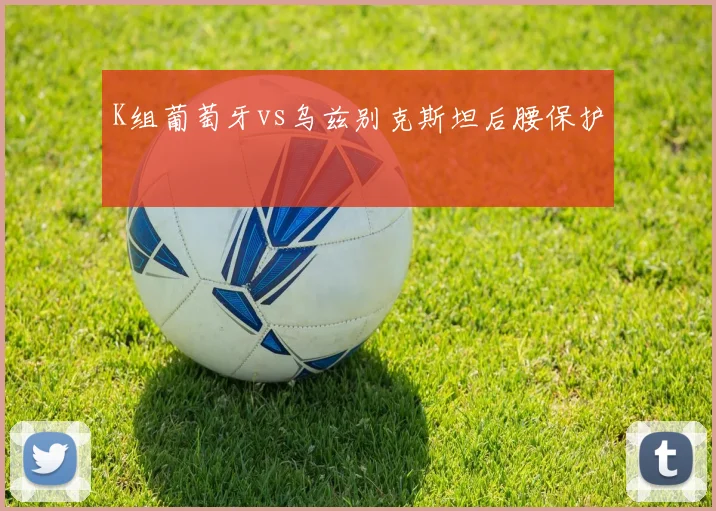 K组葡萄牙vs乌兹别克斯坦后腰保护