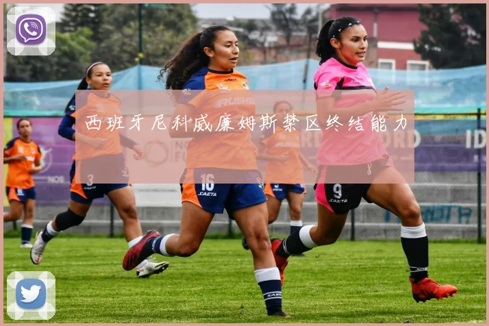 西班牙尼科威廉姆斯禁区终结能力