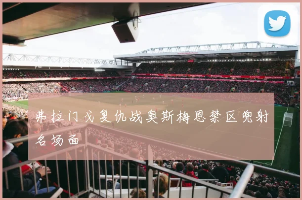 弗拉门戈复仇战奥斯梅恩禁区兜射名场面