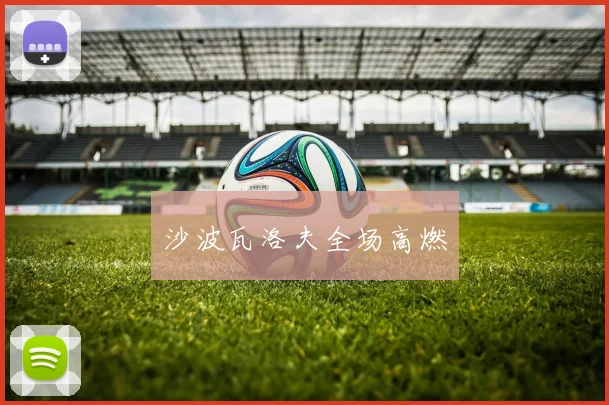 沙波瓦洛夫全场高燃