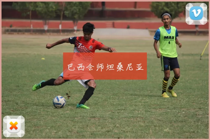 巴西会师坦桑尼亚