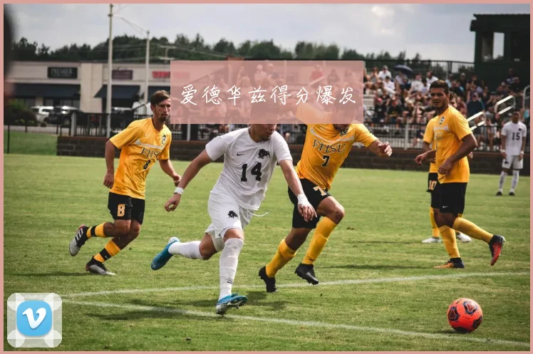 爱德华兹得分爆发