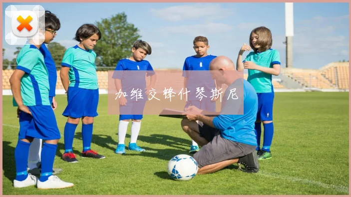 加维交锋什琴斯尼