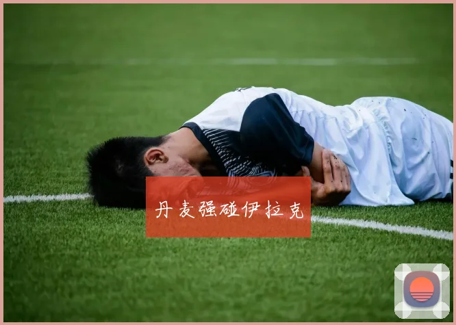 丹麦强碰伊拉克