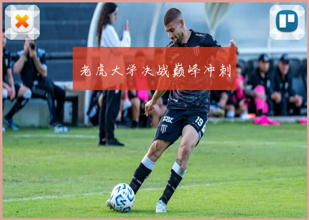 老虎大学决战巅峰冲刺