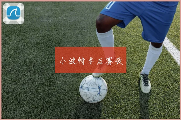 小波特季后赛夜