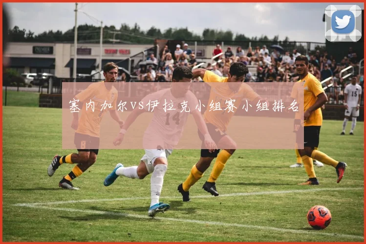 塞内加尔vs伊拉克小组赛小组排名