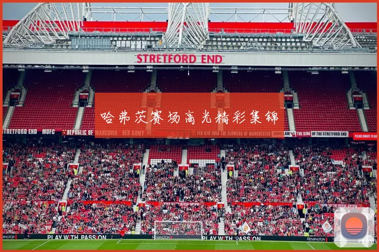 哈弗茨赛场高光精彩集锦