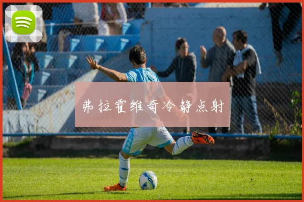 弗拉霍维奇冷静点射