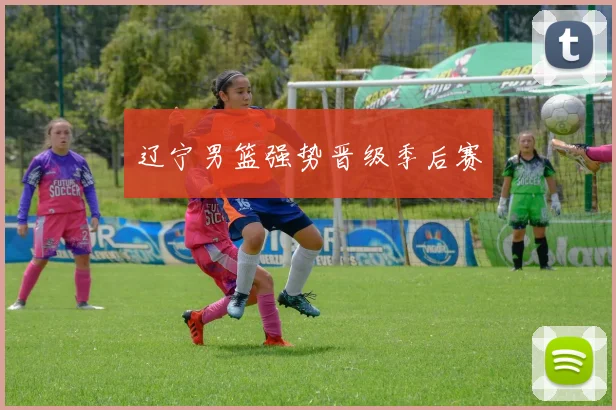 辽宁男篮强势晋级季后赛