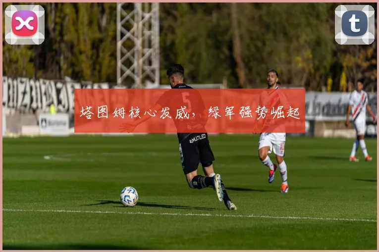 塔图姆核心发威，绿军强势崛起