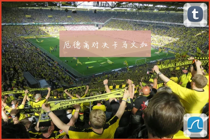 厄德高对决卡马文加
