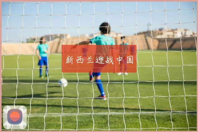 新西兰迎战中国