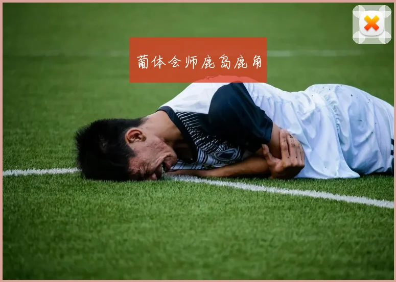 葡体会师鹿岛鹿角