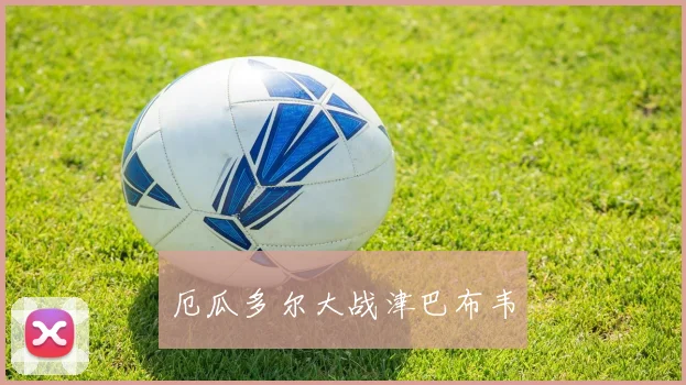厄瓜多尔大战津巴布韦