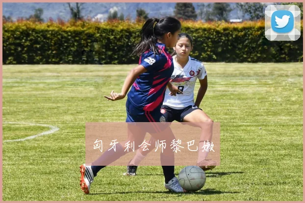 匈牙利会师黎巴嫩
