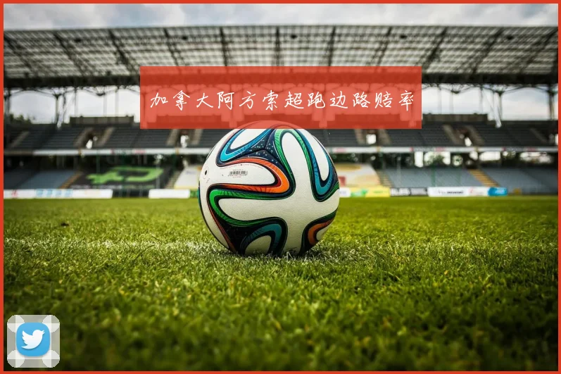 加拿大阿方索超跑边路赔率