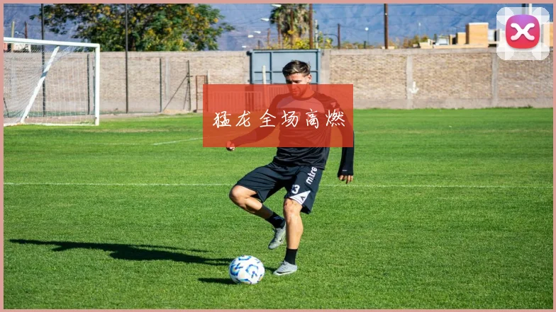 猛龙全场高燃