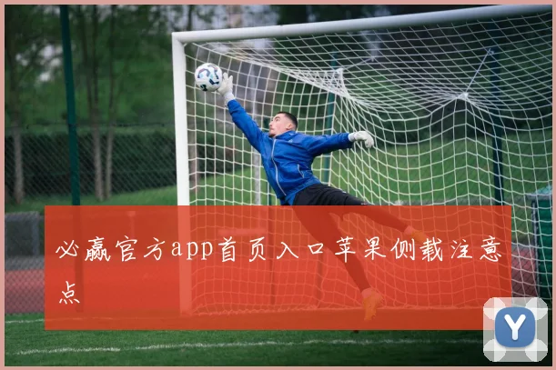 必赢官方app首页入口苹果侧载注意点
